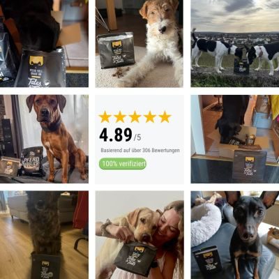 Thumbnail 8: Tales & Tails Pferd voll drauf ab Einzelne Tüte