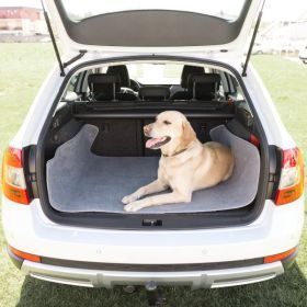 INT4BELUA Autoschondecke