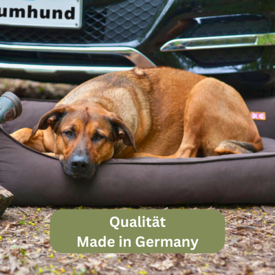 Thumbnail 3: Bettenhaus Traumhund® Orthopädisches Hundebett - Sealand