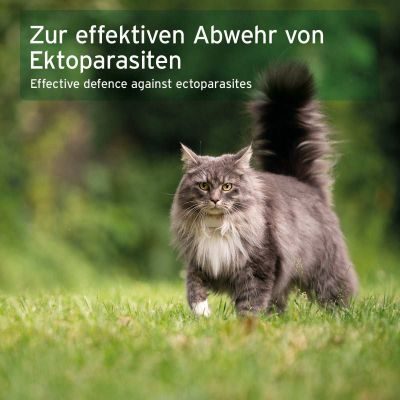Thumbnail 4: AniForte Ectoprotex Spot-on für Katzen