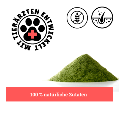 Thumbnail 3: BeG Buddy Haut und Fell für Hunde - Fell-Express - Fellgesundheit