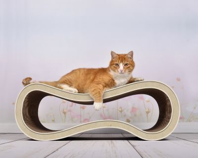 Thumbnail 2: cat-on SINGHA L Design Katzenmöbel, hellbeige (005f)