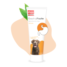 PHA PetVet - PHA GastroPaste für Hunde - 100 ml - Nahrungsergänzung - Futterergänzung