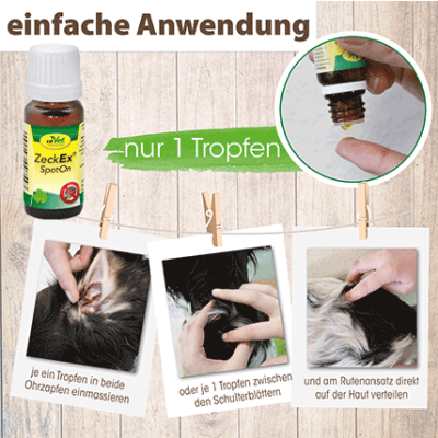 Thumbnail 2: insektoVet® ZeckEx SpotOn 50 ml – Natürliche Pflege und Geruchsmaskierung gegen Zecken