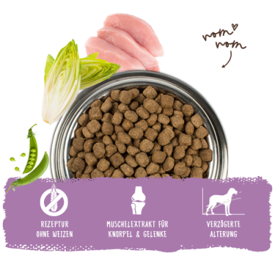 Thumbnail 3: bosch Tiernahrung HPC Senior Hundefutter – weizenfrei & gelenkschonend – 1kg