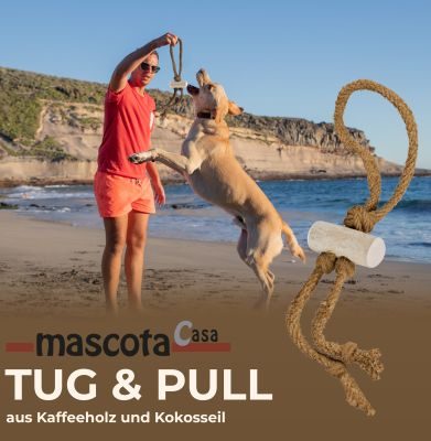 Thumbnail 4: mascota casa Tug & Pull Kauspielzeug für Hund aus Kaffeeholz und Kokosfaserseil, koffeinfrei und natürlich