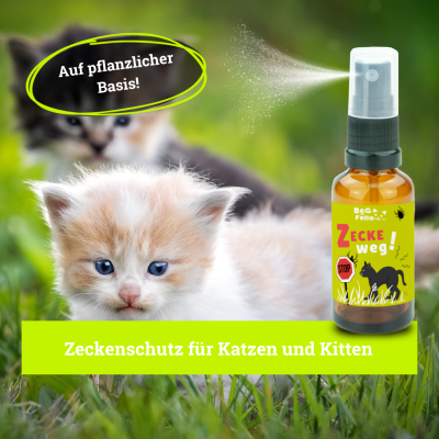 Thumbnail 4: BeG Buddy Zeckenmittel Katze, Zeckenschutz Katzen & Kitten, Zecke Katze, Zeckenabwehr auf pflanzlicher Basis, 30 ml