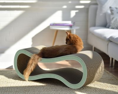 Thumbnail 3: cat-on SINGHA L Design Katzenmöbel, hemlock mintgrün (006h)