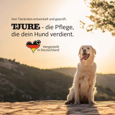 Thumbnail 9: TJURE TJURE - Immun Boost - 500 ml | Extraportion Wohlbefinden | Kräftigung der Immunabwehr |