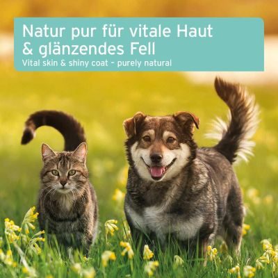 Thumbnail 3: AniForte Fellharmonie Futteröl