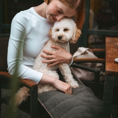 Thumbnail 7: HUNTER 2-in-1 Hunde-Tragetasche und Decke Seoul 45 x 22 x 24 cm, greige