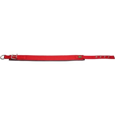 Thumbnail 2: HUNTER Halsband Neopren Reflect S-M (45), rot/schwarz