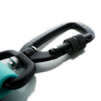 Thumbnail 3: Vitomalia Wasserleine 3-fach Verstellbare mit Sicherheitskarabiner Türkis