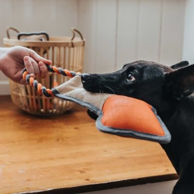 Thumbnail 2: HUNTER Hundespielzeug Tough Pombas Pfeil 35 cm