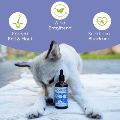 Thumbnail 2: Wolfsbacher Natur Bio Leinöl 100ml