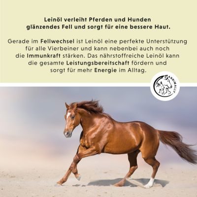 Thumbnail 6: annimally Leinöl 5 L