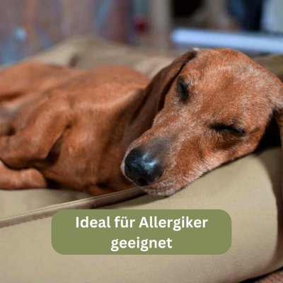 Thumbnail 3: Bettenhaus Traumhund® Orthopädisches Hundebett - Organic 95