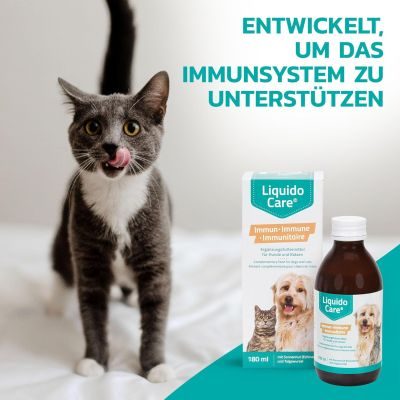 Thumbnail 5: LiquidoCare Tonikum zur Unterstützung des Immunsystems mit Sonnenhut & Taigawurzel für Hunde und Katzen 180 ml
