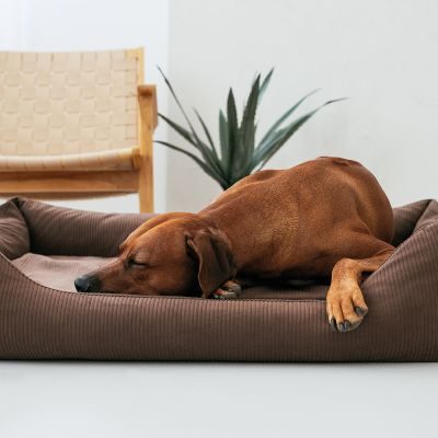 Thumbnail 2: Rudelkönig Rudelkönig Hundebett Koye, Orthopädisches Hundebett mit Druckentlastung