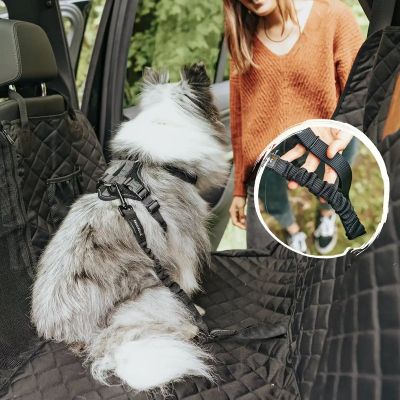 Thumbnail 3: Rudelkönig Hundegurt, Sicherheitsgurt Hund Auto 60-80cm Anschnallgurt elastisch