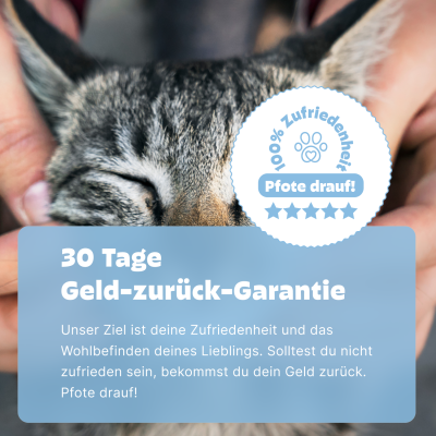 Thumbnail 8: Pezz Katzen Ohrentest | Bei wunden, juckenden oder riechenden Ohren