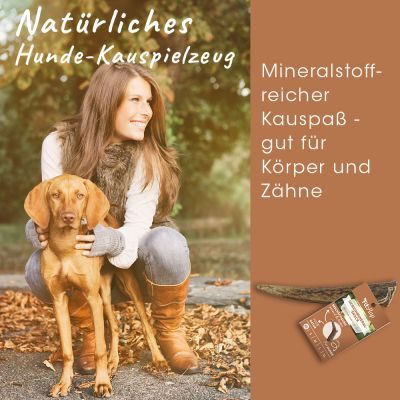 Thumbnail 6: Fit-Hap Geweihmineral-Snack XL (160-250 g) – Natürlicher Kausnack aus Geweih für Hunde