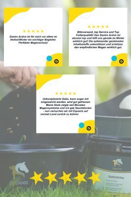 Thumbnail 6: Equanis GastroActive – Magen Pferd