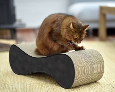 Thumbnail 2: cat-on LE VER M Design Kratzmöbel, schwarz meliert (013)