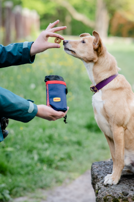 Thumbnail 3: Josera Josera Meat Bites Mini Beef 70g