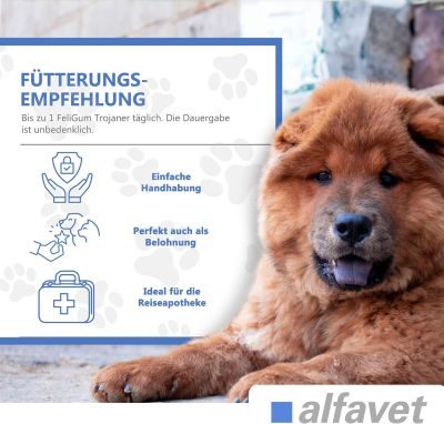 Thumbnail 3: alfavet FeliGum Trojaner Box 30 x 10 g