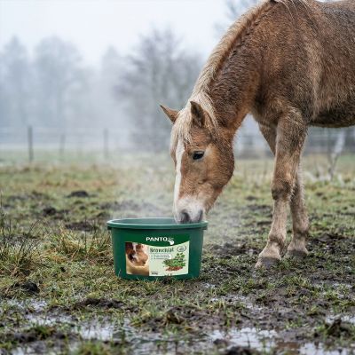 Thumbnail 7: PANTO PANTO Lix Bronchial - Wohltuende Kräuterleckschale 10kg