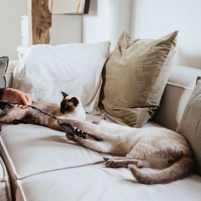 Thumbnail 3: stylecats® Katzenspielzeug Nelly Katzenminze graphit 30 cm