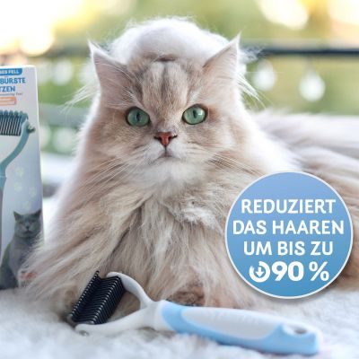 Thumbnail 2: BluePet Blau