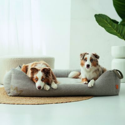 Thumbnail 5: Rudelkönig Rudelkönig Hundebett Koye, Orthopädisches Hundebett mit Druckentlastung