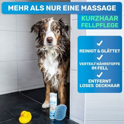 Thumbnail 3: BluePet Weiche Badebürste Gummistriegel: Kurzhaar Hunde & Katzen mit Massageeffekt - Entfernt loses Deckhaar & Schmutz - Badestriegel Shampoo einmassieren