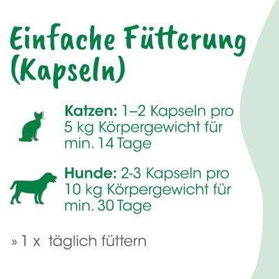 Thumbnail 7: cdVet DarmRein Pro 40 g – Natürliche Darmreinigung für Hunde, Katzen & Heimtiere