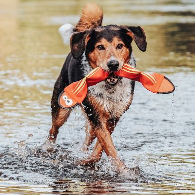 Thumbnail 4: HUNTER Hundespielzeug Aqua Mindelo, orange 52 cm