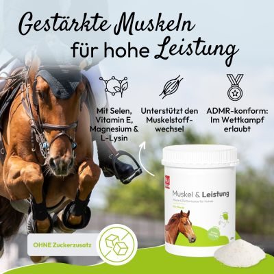 Thumbnail 2: PHA PHA Muskel & Leistung für Pferde