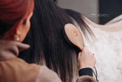 Thumbnail 5: Equimour Mähnenbürste "VIDI"