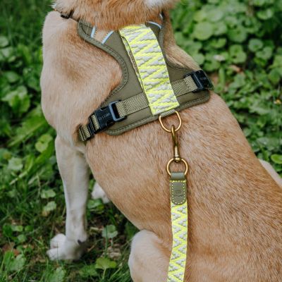 Thumbnail 3: Hey Lana Premium Hundegeschirr Gepolstert - mit Reflektoren und Haltegriff L / Olivgrün/Neongelb