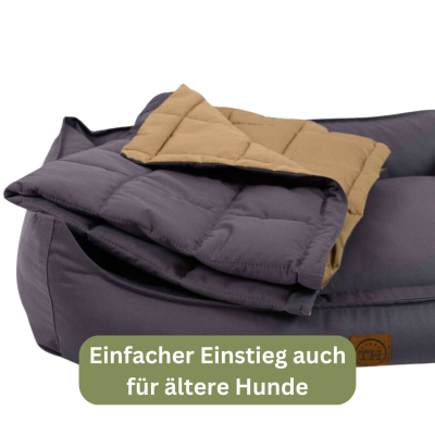 Thumbnail 5: Bettenhaus Traumhund® Orthopädisches Hundebett - Organic 95