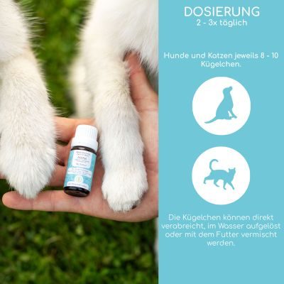 Thumbnail 8: Wolfsbacher Natur Bachblüten Globuli – Notfall