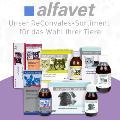Thumbnail 6: alfavet ReConvales Gastro Balance  3 x 90 ml