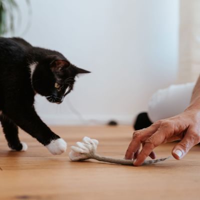 Thumbnail 5: stylecats® Katzenspielzeug Gundula Gänseblümchen 12 cm