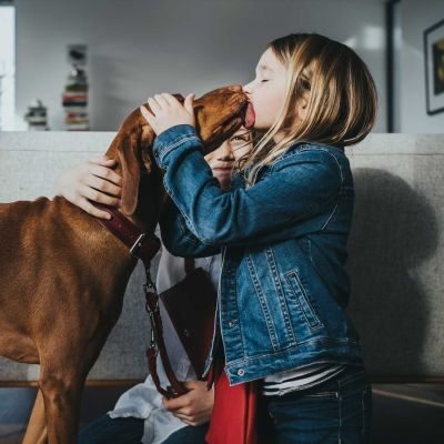 Thumbnail 10: HUNTER Halsband Aalborg Rustica M (55), rot