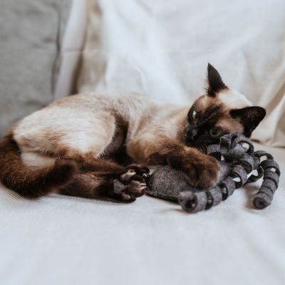 Thumbnail 2: stylecats® Katzenspielzeug Nelly Katzenminze graphit 30 cm