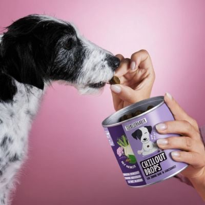 Thumbnail 5: Tierliebhaber Chillout Drops für Hunde - Natürliche Beruhigungshilfe bei Unruhe, Nervosität & Angst