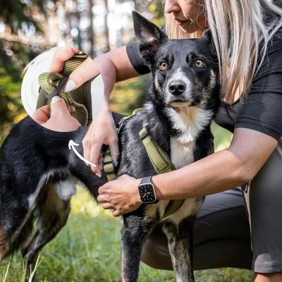 Thumbnail 4: Rudelkönig Gepolstertes Brustgeschirr mit Haltegriff, Verstellbares Hundegeschirr