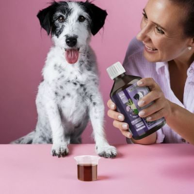 Thumbnail 2: Tierliebhaber Chilloutsaft für Hunde - Natürliche Beruhigungshilfe für Hunde