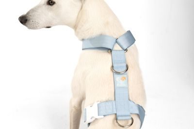 Thumbnail 4: SimplePets 3-in-1 Geschirr Set